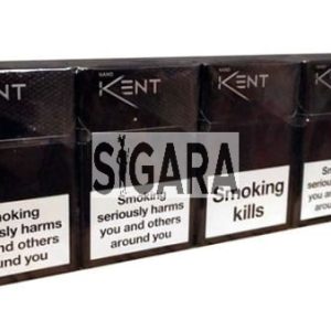 Kent Spark Nanotek Silver Sigara
