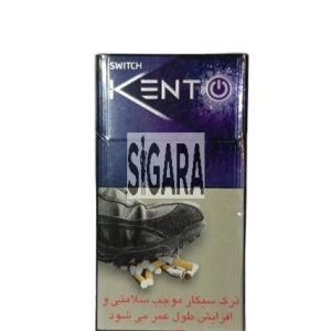 Kent Switch Touch Blueberry Sigara ( Yabanmersini )