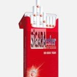 Manchester Red Berry Fusion Sigara ( Çilek ve Nane )