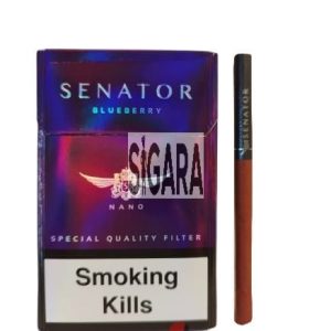 Senator Nano Blueberry Sigara (Yabanmersini)
