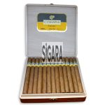 Cohiba Lancero Puro 25’s