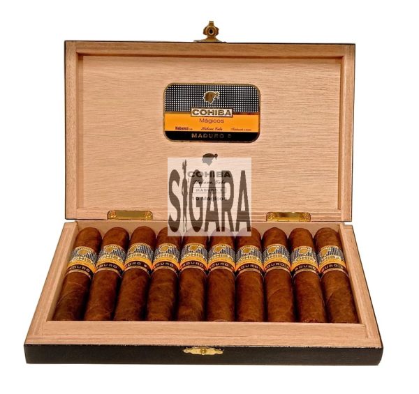 Cohiba Maduro 5 Magicos Puro 10’s
