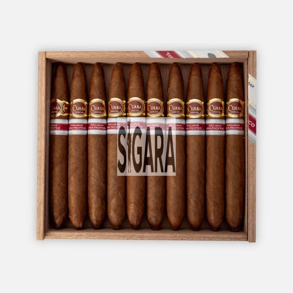 Cuaba Apac Puro 10's