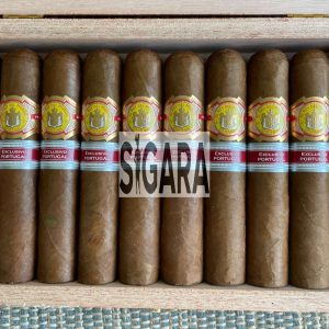 El Rey Del Mundo Templarios Puro 10's