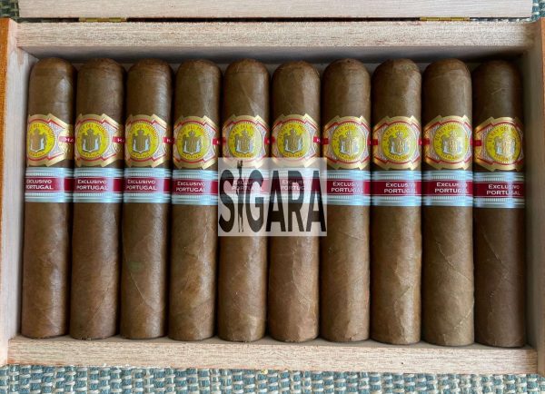 El Rey Del Mundo Templarios Puro 10's
