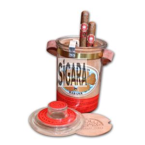 H. Upmann Noellas (CDH) Puro 10's