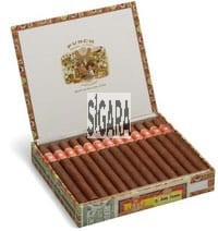Punch Double Corona Puro 25's