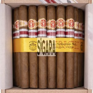 Punch Super Selection No.1 Puro 50's