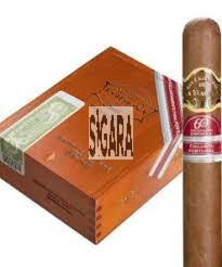 San Cristobal de La Habana Saudade Puro 10's
