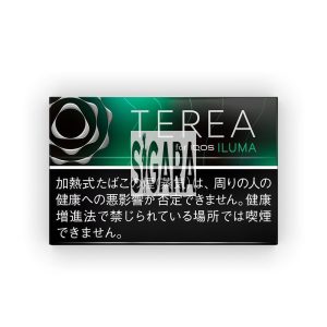 IQOS Terea Black Menthol