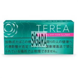 IQOS Terea Menthol