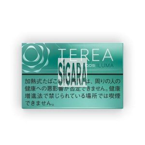 IQOS Terea Mint