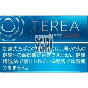IQOS Terea Rich Regular